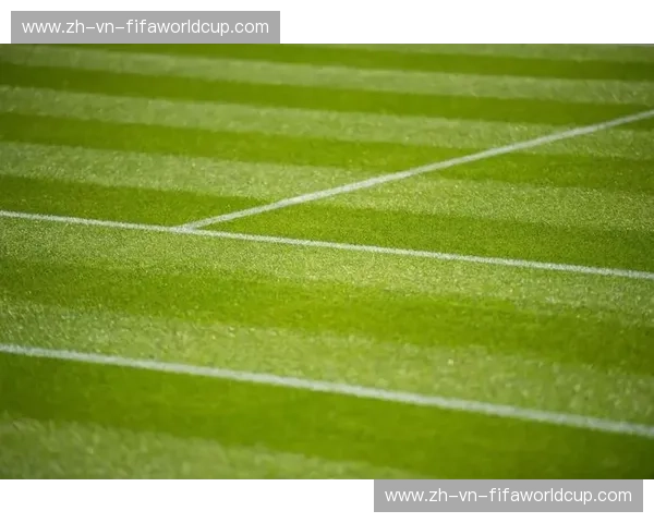 首发温网：草地上的第一缕阳光